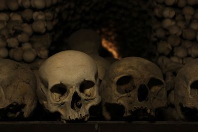 Close-up of human skulls