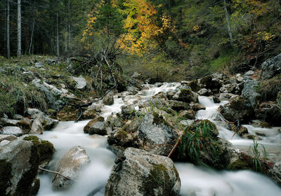 Long exposure photo of stream flowing over rocks in forest with autumn colors