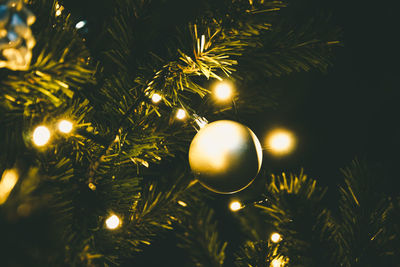 Close-up of illuminated christmas tree