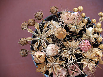 Close-up of wilted flowers