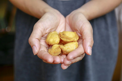 Close-up of person holding apple