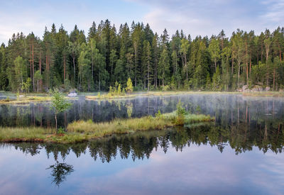 Reflection of trees in lake against sky