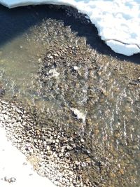 High angle view of rocks on beach