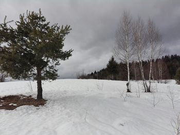 Trees on snow covered landscape against sky