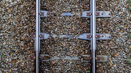 Full frame shot of tree stump