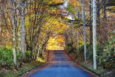 Road amidst trees in forest during autumn