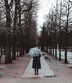 Rear view of woman standing on footpath amidst bare trees