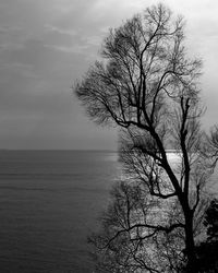 Silhouette bare tree by sea against sky