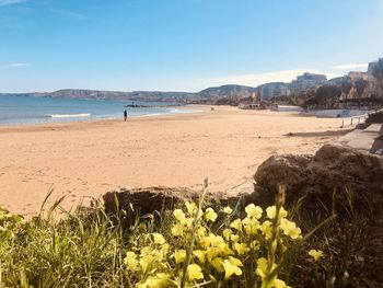 Scenic view of beach by sea against sky