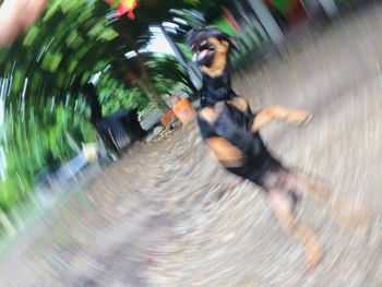 Blurred motion of man in tunnel