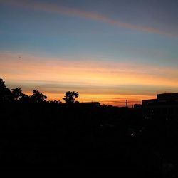 Silhouette of trees at sunset