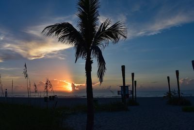 Silhouette palm trees on beach against sky during sunset
