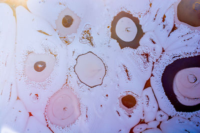 Full frame shot of ice cream