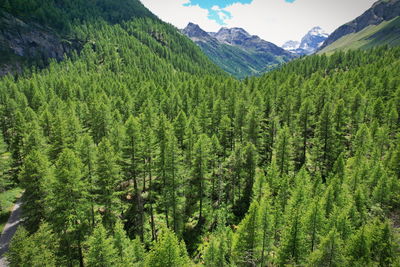 View from the top of rhemes notre dame valley in aosta valley, italy.