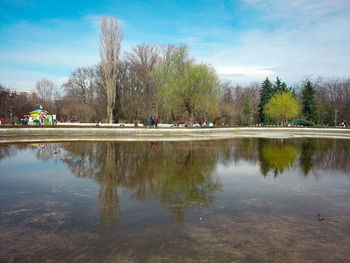 Reflection of trees in water