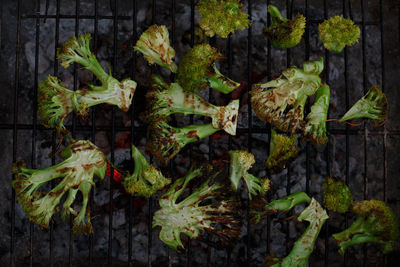 Broccoli grilled on homemade barbecue, healthy vegetarian food