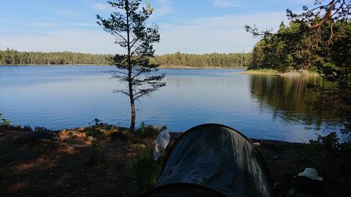 Low section of trees by lake against sky