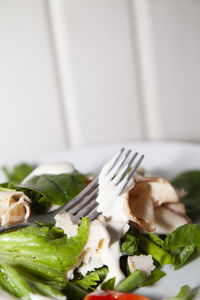 Close-up of food served in plate