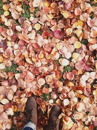 Low section of person standing by autumn leaves