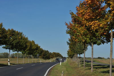 Road amidst trees against sky during autumn