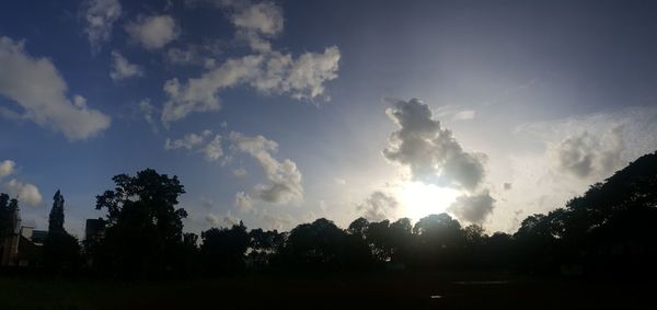 Sunlight streaming through silhouette trees on field against sky