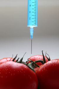 Close-up of fresh tomatoes with syringe on gray background