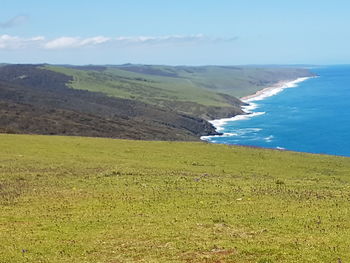 Scenic view of field by sea against sky