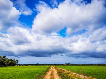 Scenic view of agricultural field against sky