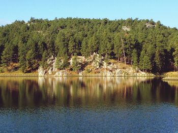 Reflection of trees in lake