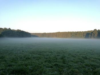 Scenic view of landscape against clear sky