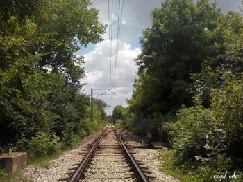 Railroad tracks amidst trees against sky