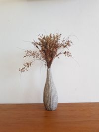 Close-up of plant in vase on table against wall