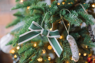 Close-up of christmas tree