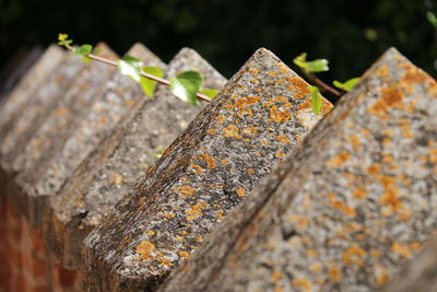 Close-up of weathered fence