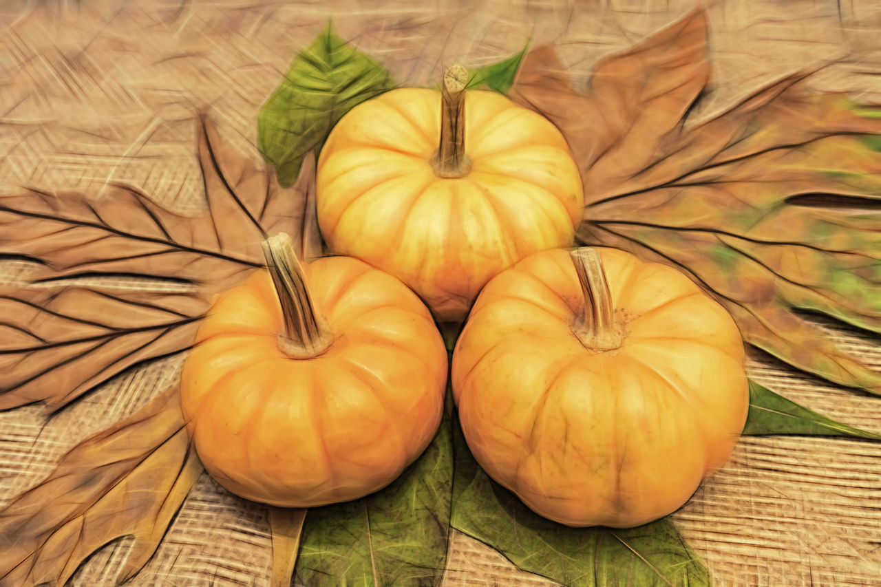 HIGH ANGLE VIEW OF PUMPKINS ON LEAVES