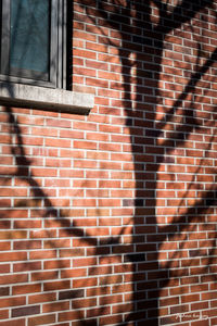 Low angle view of brick wall of building