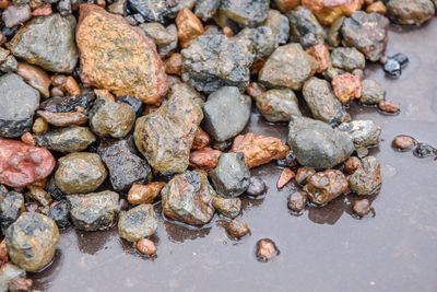 High angle view of stones