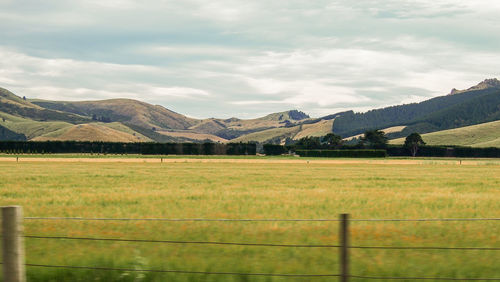 Scenic view of field against sky