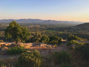 Scenic view of landscape against clear sky