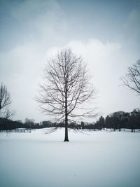 Bare trees on snow covered landscape against sky