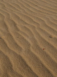 Full frame shot of  sand dune