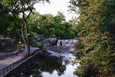 Scenic view of river flowing amidst trees