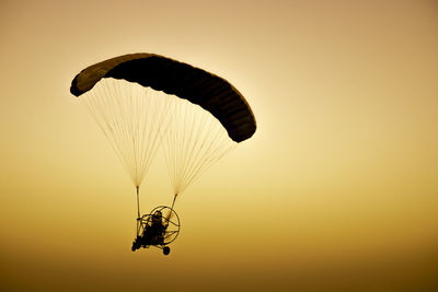 Buckeye flying in sunset