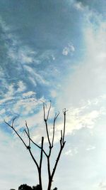 Low angle view of bare tree against cloudy sky