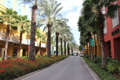 Street amidst palm trees against sky