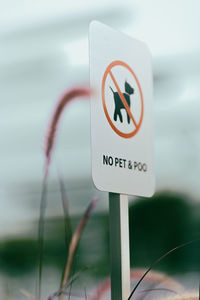 Close-up of road sign