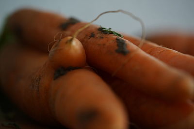 Close-up of hand holding orange