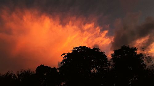 Silhouette of trees against cloudy sky