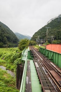 Railroad tracks amidst trees against sky