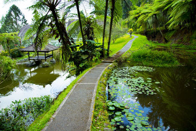 Scenic view of lake amidst trees